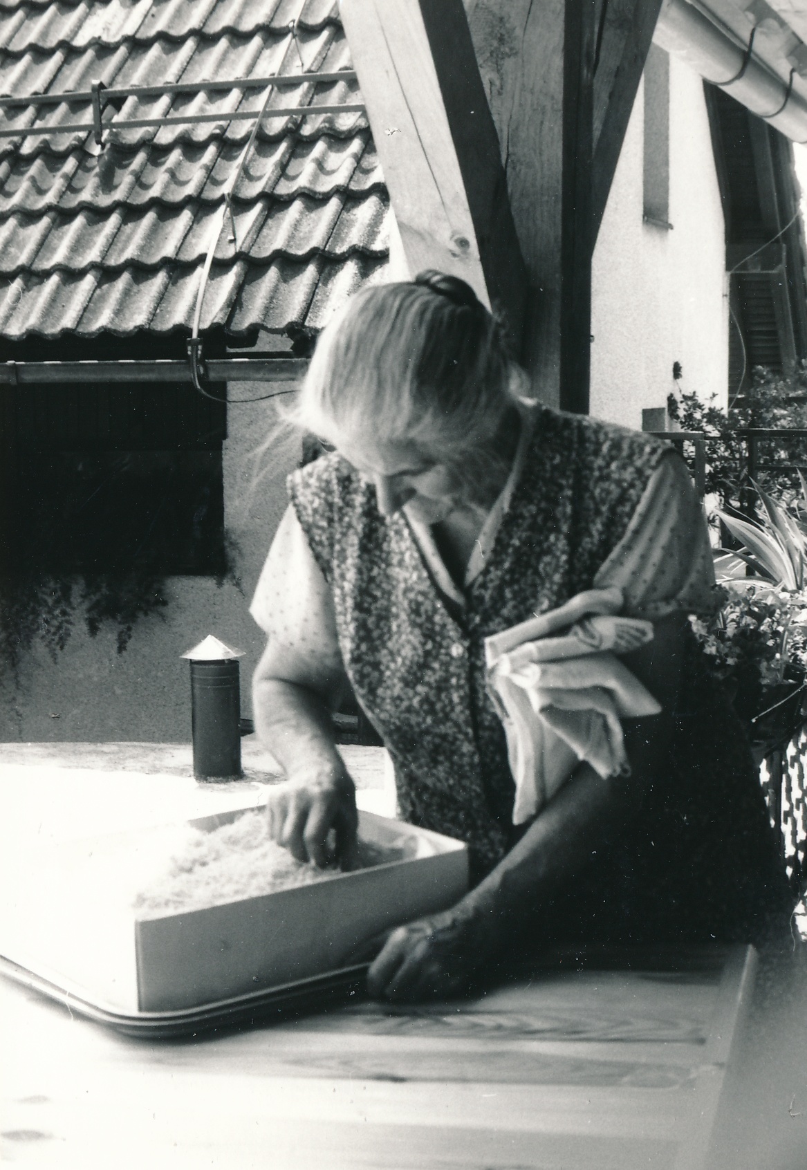 eika image